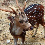 Ramsagar_NP_02