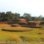 Somapura_Mahavihara_11