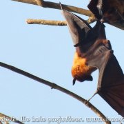 Bandarban_17