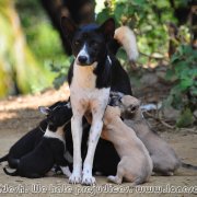Bandarban_25