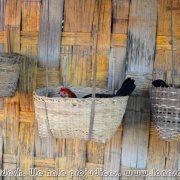 Bandarban_28