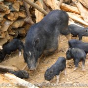 Bandarban_36