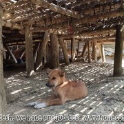 Bandarban_46