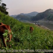 Bandarban_49