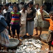 Fish_market_01