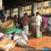 Fish_market_03