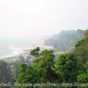 Himchari_NP_05